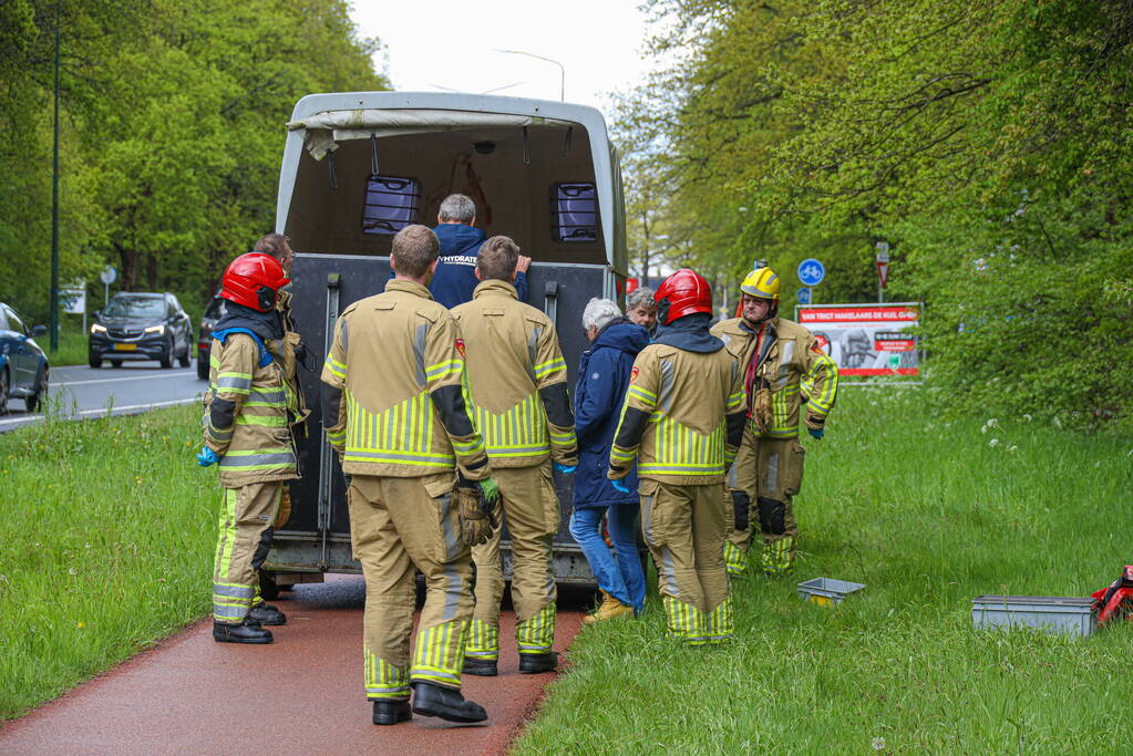 Paard overleden na verwonding in paardentrailer