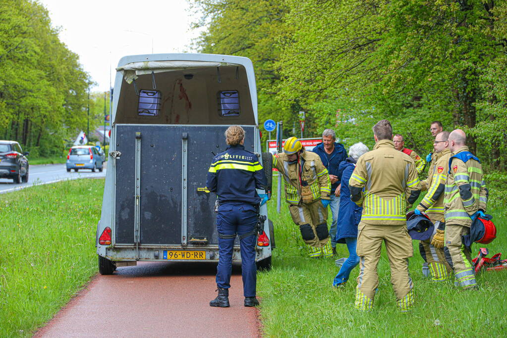 Paard overleden na verwonding in paardentrailer