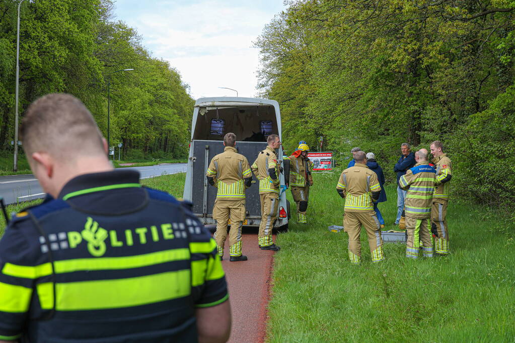 Paard overleden na verwonding in paardentrailer