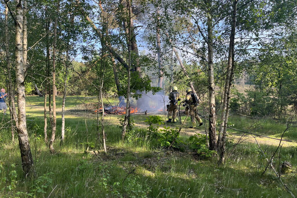 Bosbrand snel onder controle