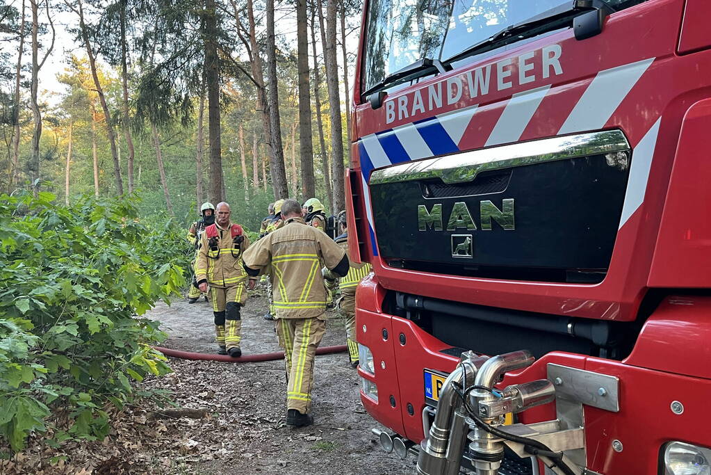 Brandweer groots ingezet voor bosbrand