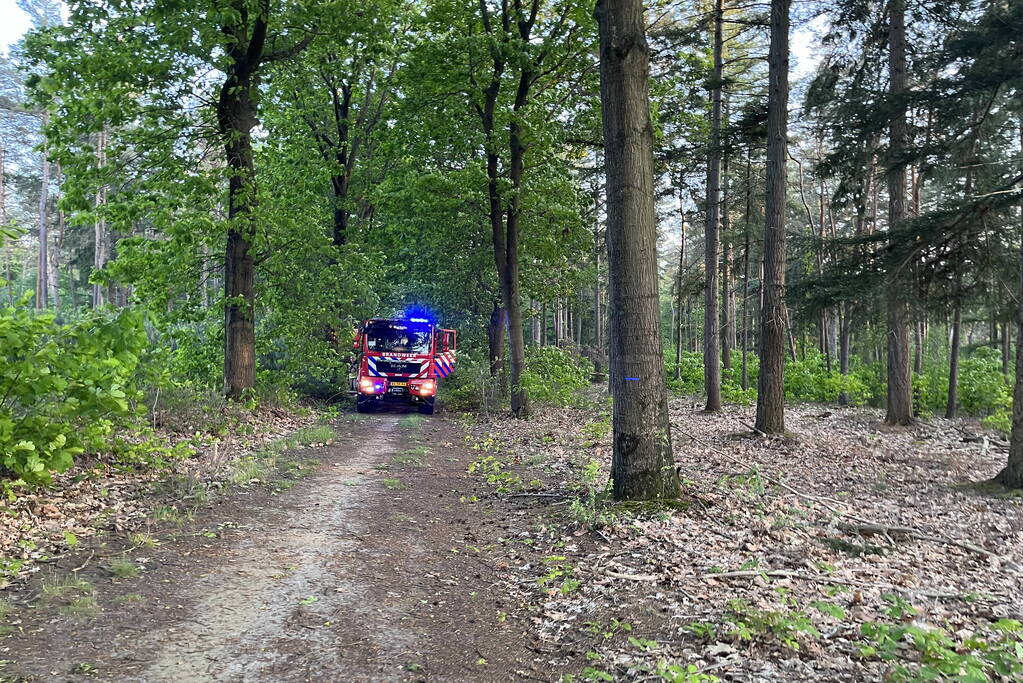 Brandweer groots ingezet voor bosbrand