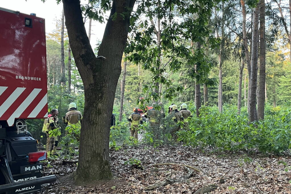 Brandweer groots ingezet voor bosbrand