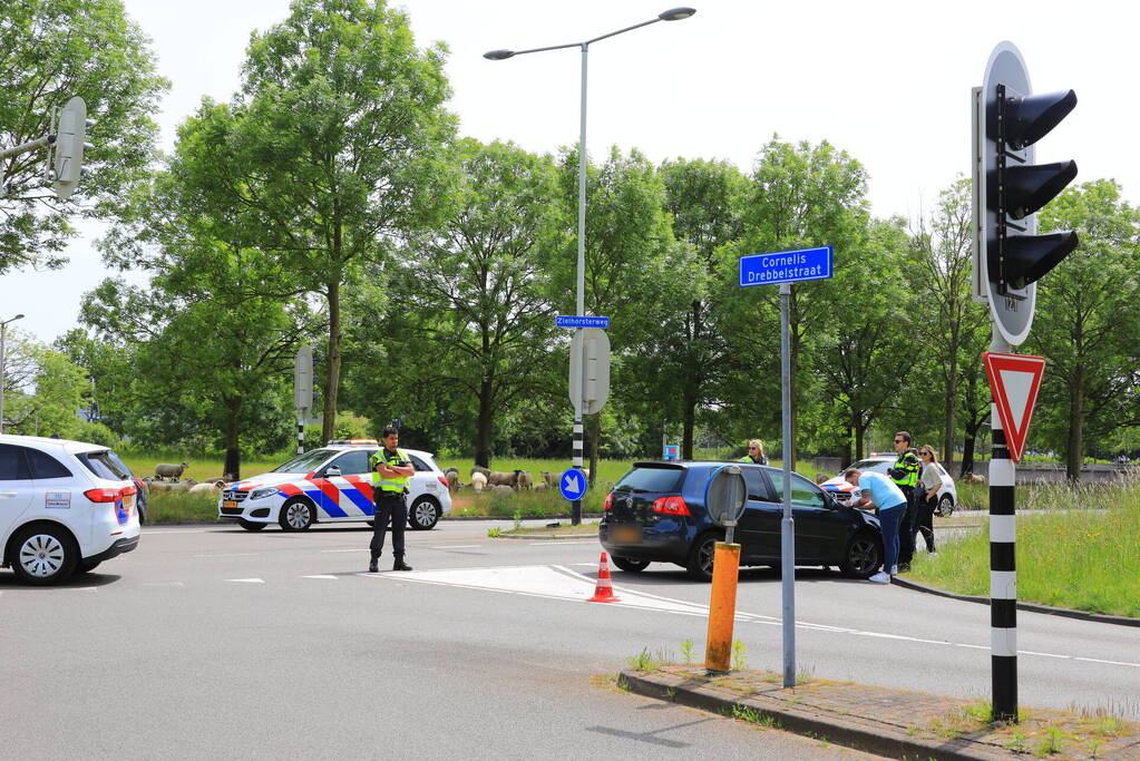 Twee personenauto's botsen op kruising