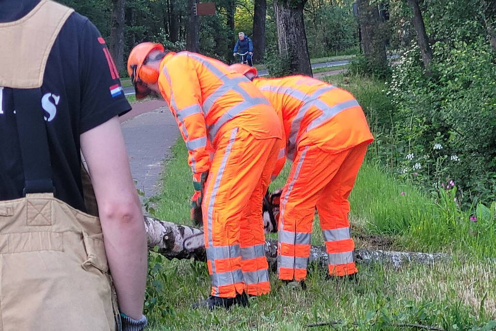 Brandweer ingezet voor omgevallen boom