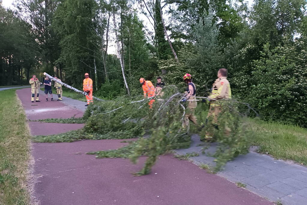 Brandweer ingezet voor omgevallen boom