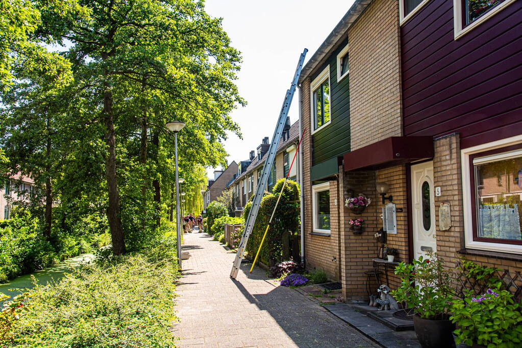 Sluwe kat weet brandweer opnieuw te slim af te zijn