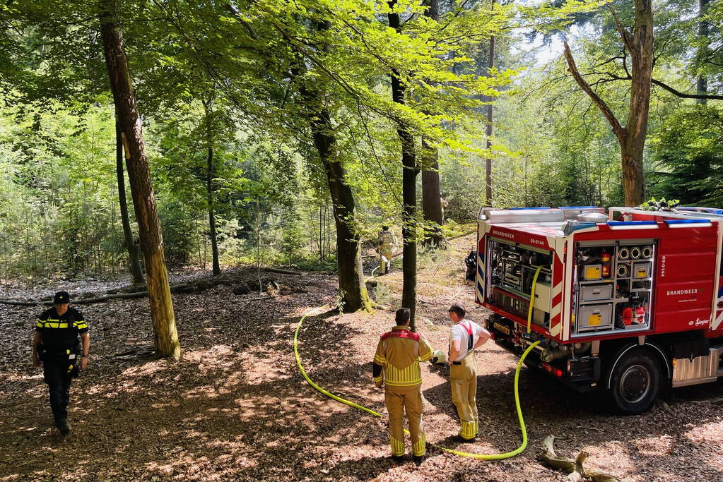 Flinke brand in natuurgebied Birkhoven