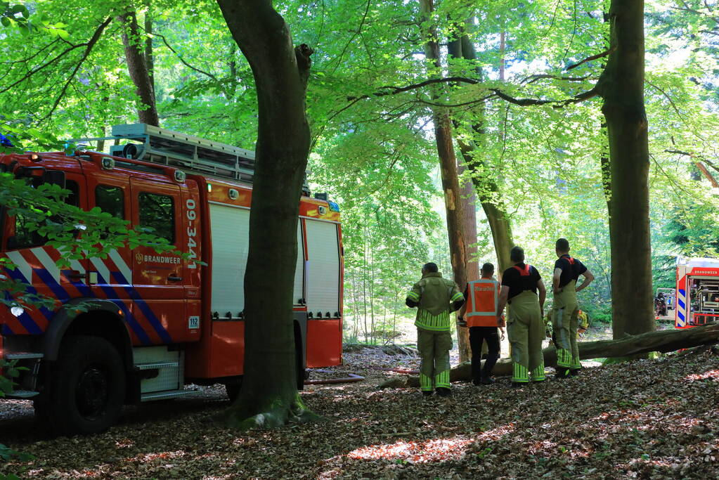 Flinke brand in natuurgebied Birkhoven