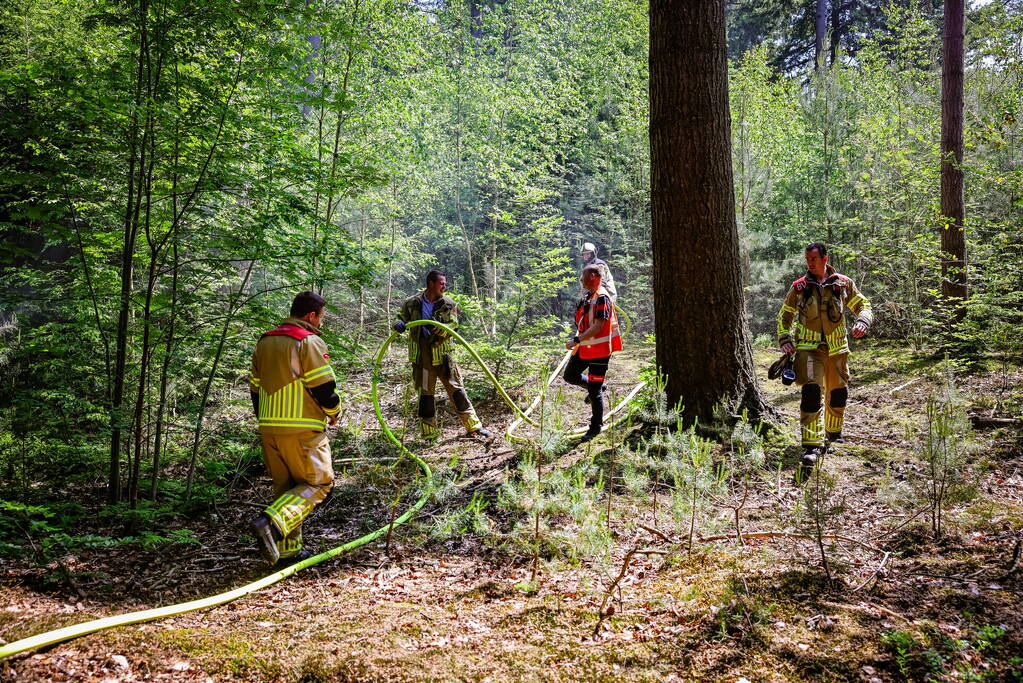 Flinke brand in natuurgebied Birkhoven