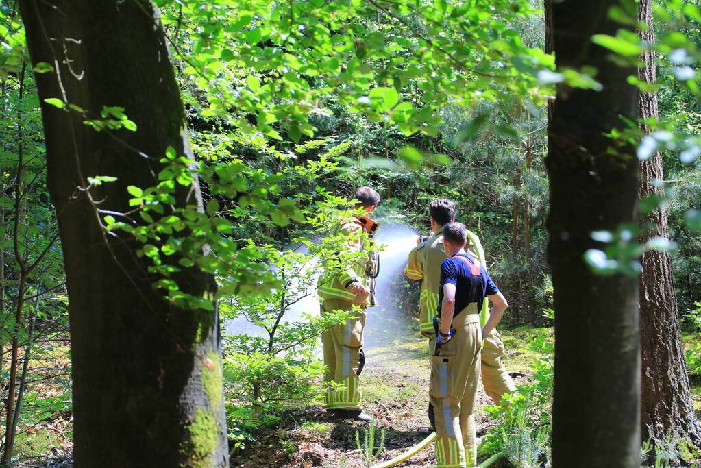 Flinke brand in natuurgebied Birkhoven