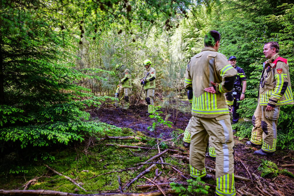 Flinke brand in natuurgebied Birkhoven