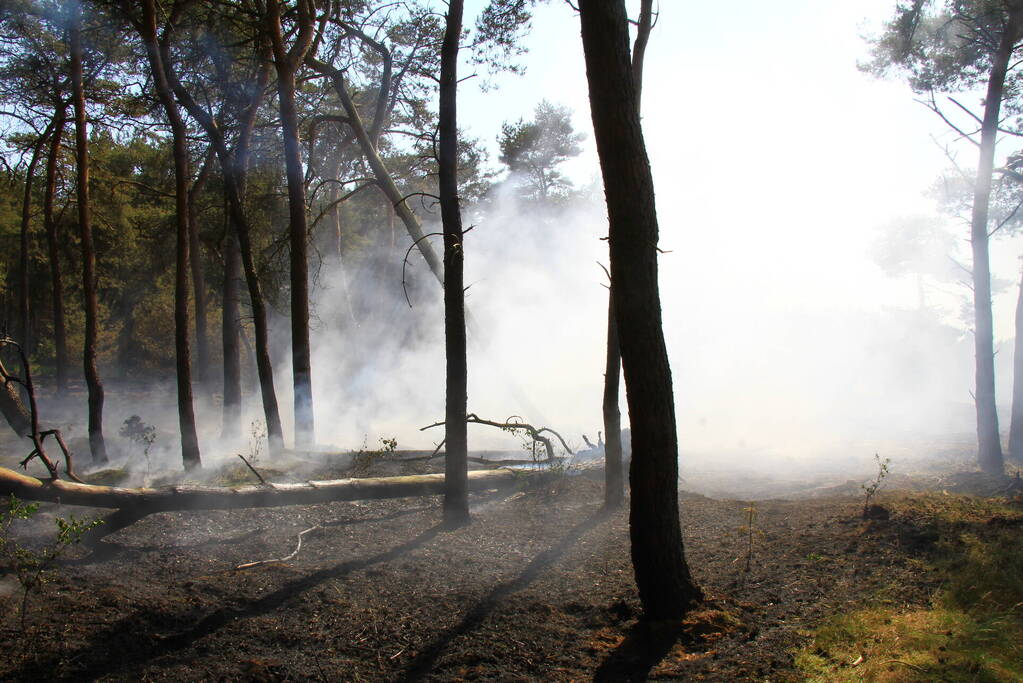 Wederom natuurbrand, brandweer rijdt zich vast