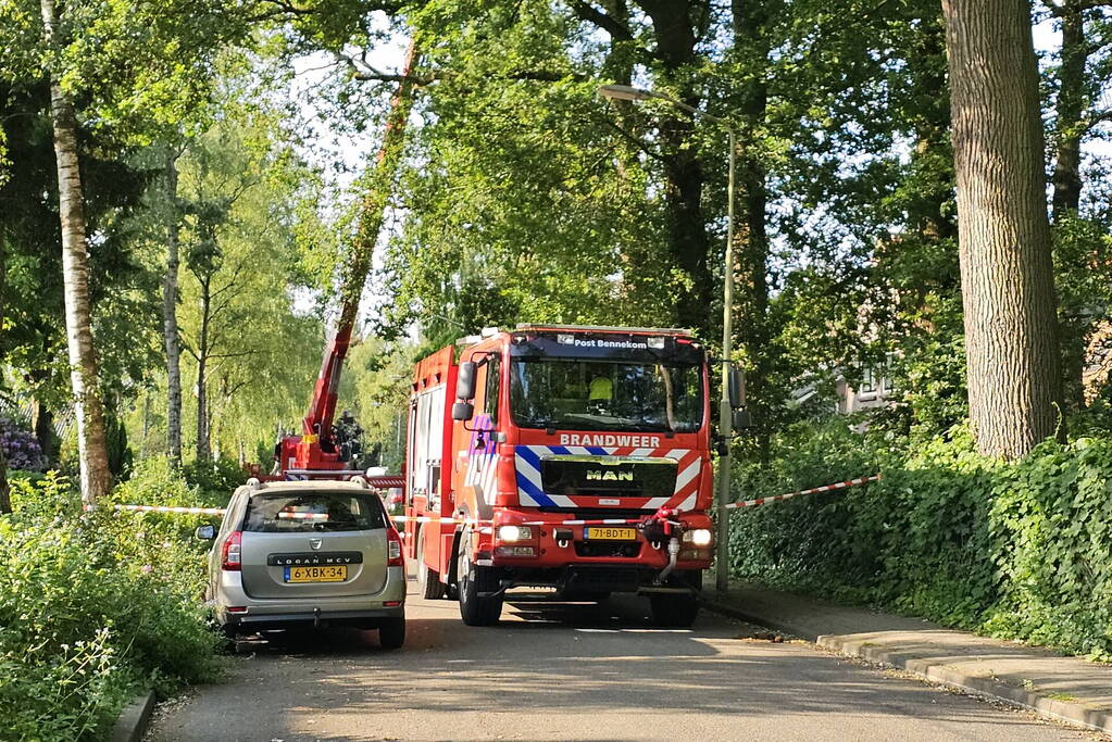 Loshangende tak vormt groot gevaar voor voorbijgangers