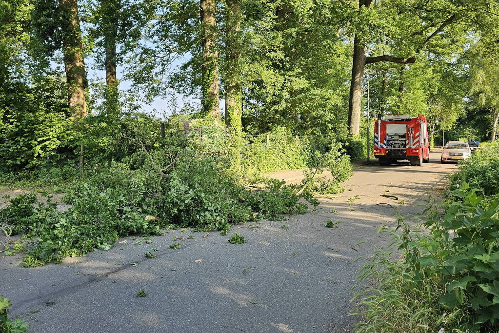 Loshangende tak vormt groot gevaar voor voorbijgangers