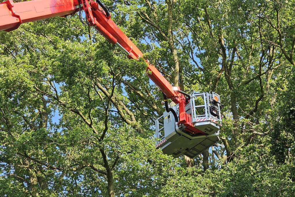 Loshangende tak vormt groot gevaar voor voorbijgangers