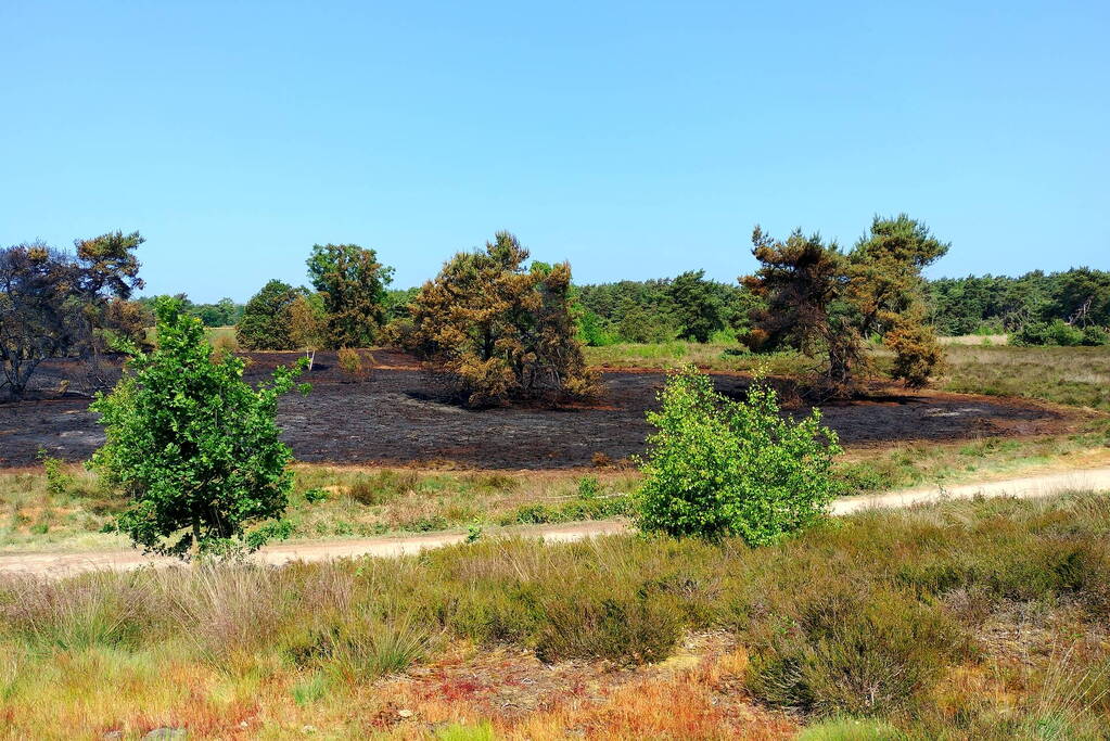 Opnieuw brand in natuurgebied