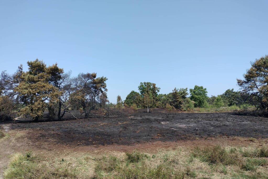 Opnieuw brand in natuurgebied