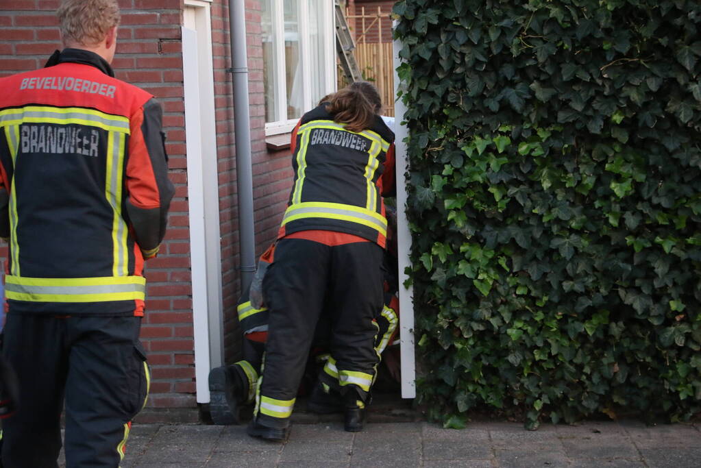 Brandweer ingezet voor gans op dak van schuur