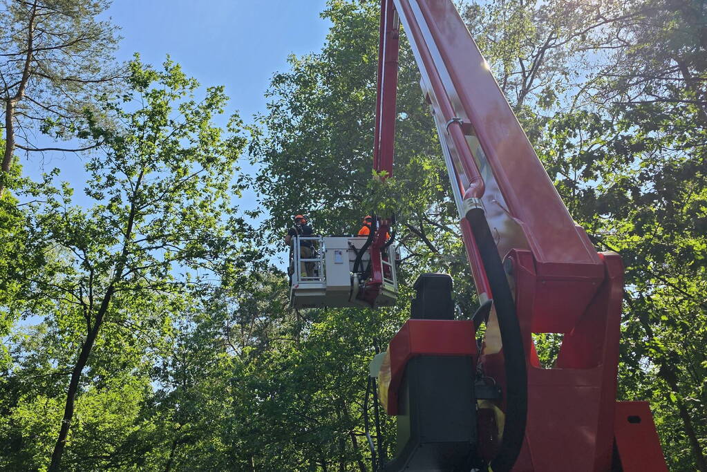 Brandweer ingezet voor loshangende tak