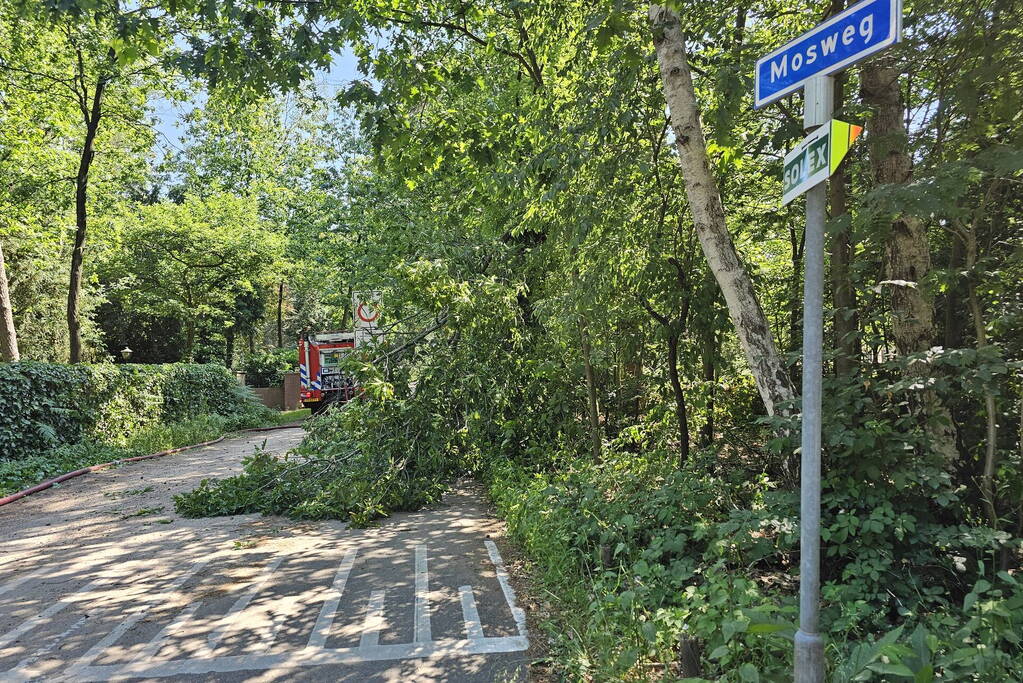 Brandweer ingezet voor loshangende tak