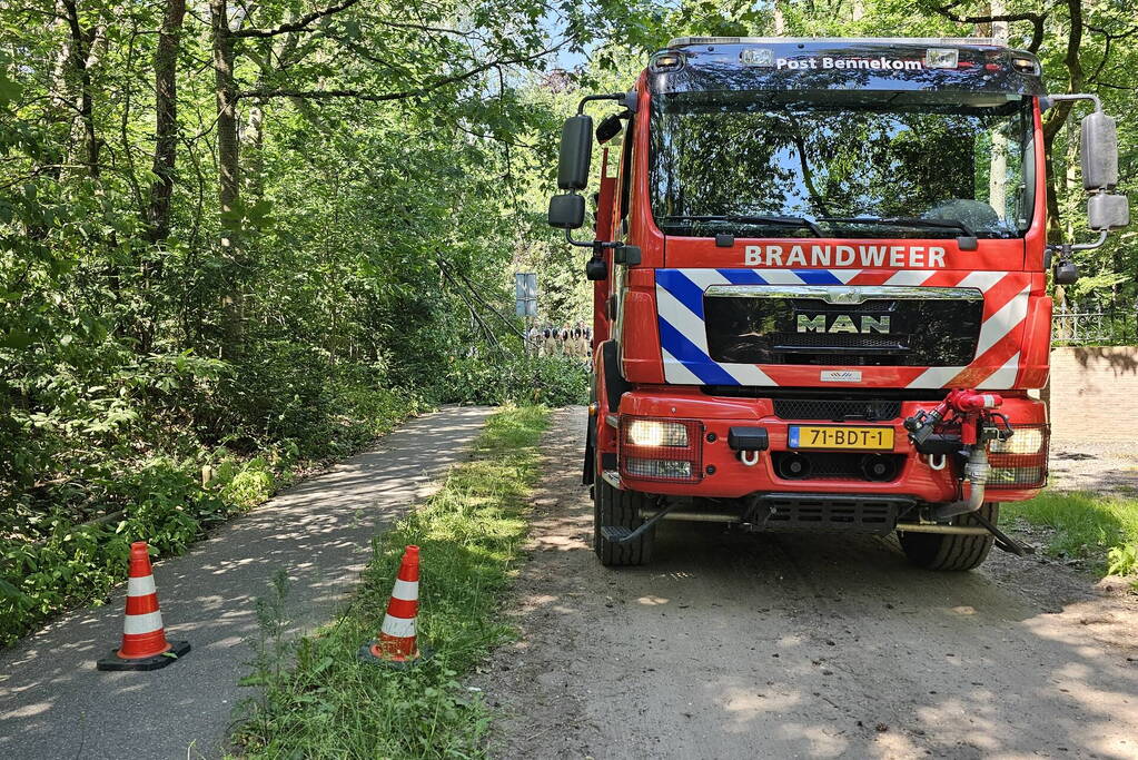 Brandweer ingezet voor loshangende tak