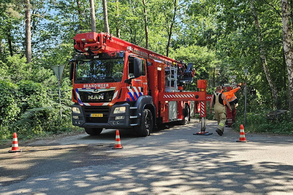 Brandweer ingezet voor loshangende tak