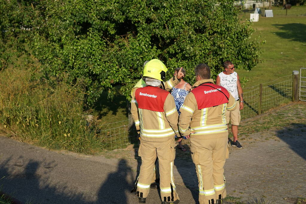 Meerdere branden in bosgebied