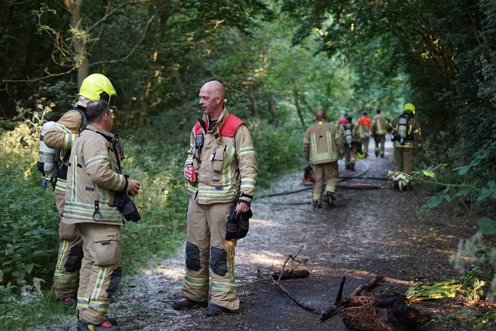 Meerdere branden in bosgebied