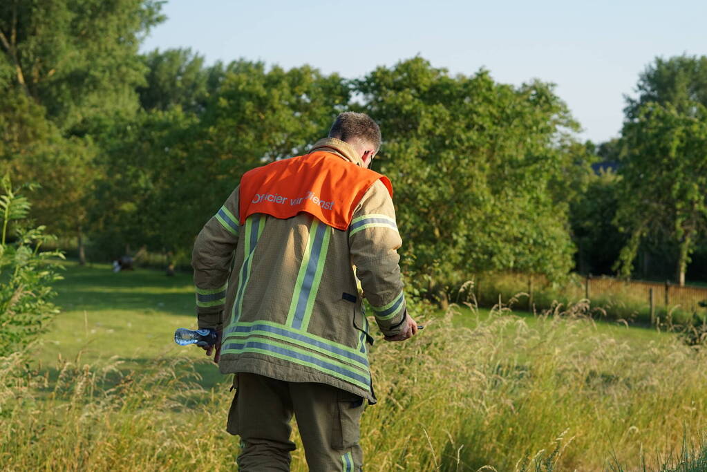 Meerdere branden in bosgebied