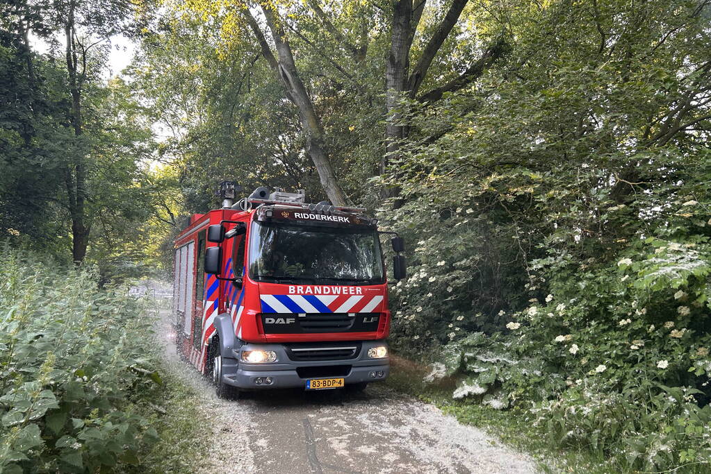 Brandweer blust brand in bosgebied