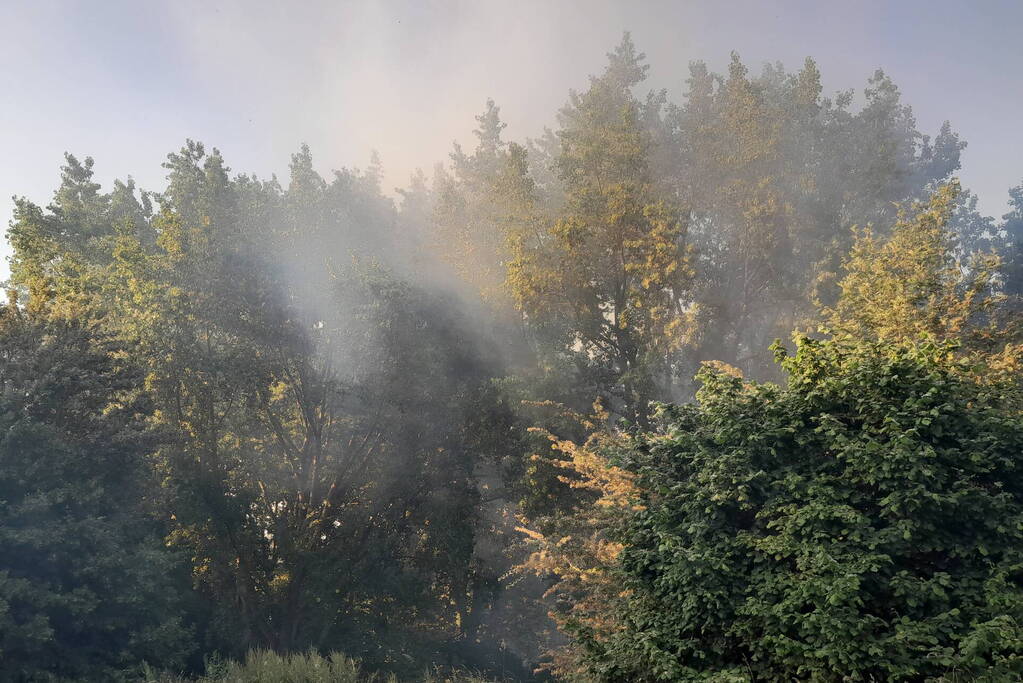 Brandweer blust brand in bosgebied