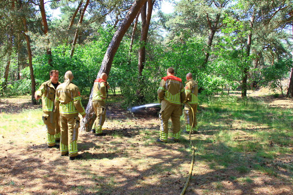 Stuk natuur in brand op vakantiepark