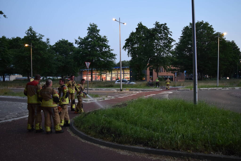 Bermbrand recht tegenover brandweerkazerne