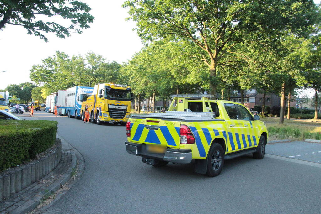 Vrachtwagen met koeien defect op snelweg