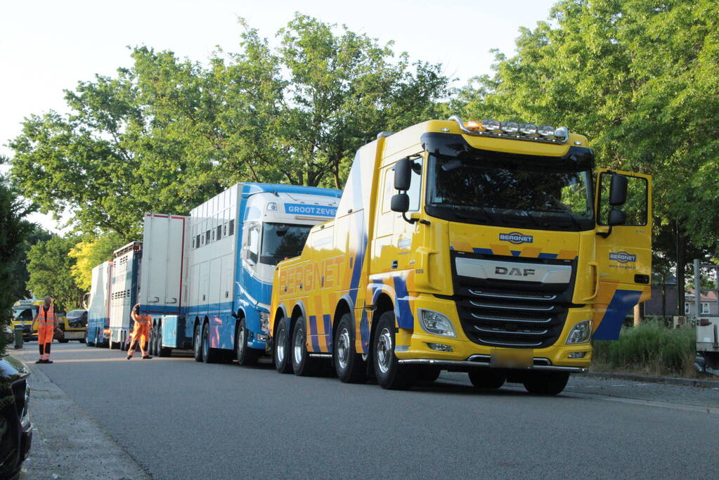 Vrachtwagen met koeien defect op snelweg