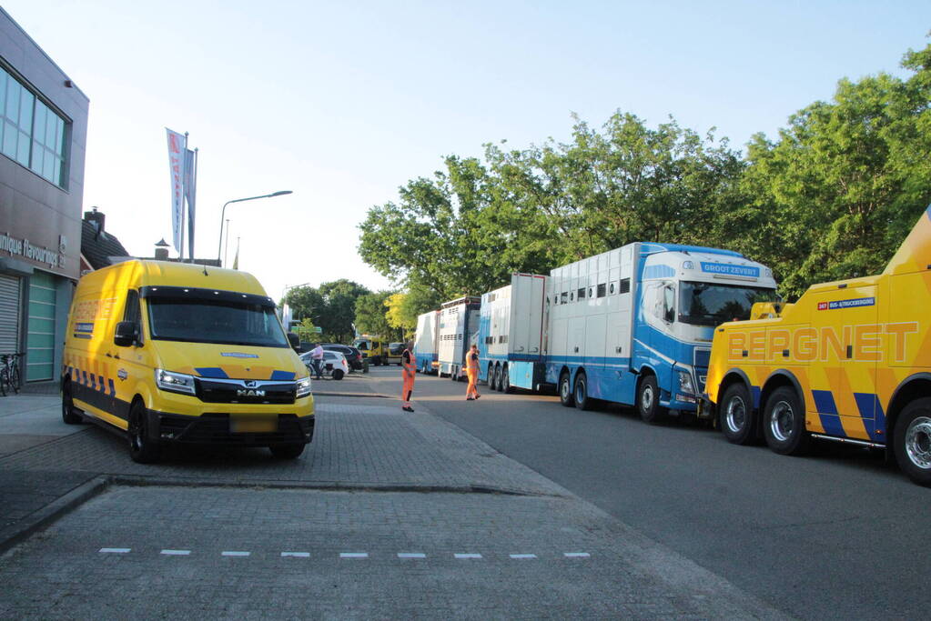 Vrachtwagen met koeien defect op snelweg