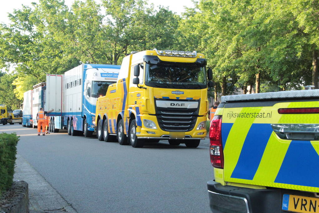 Vrachtwagen met koeien defect op snelweg