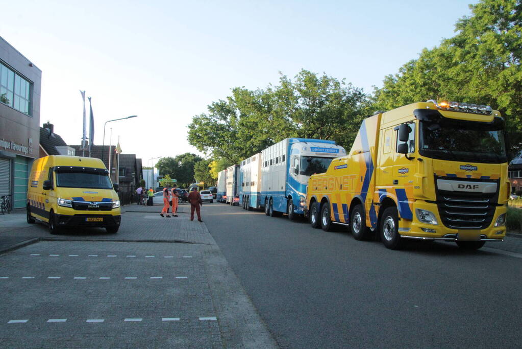 Vrachtwagen met koeien defect op snelweg