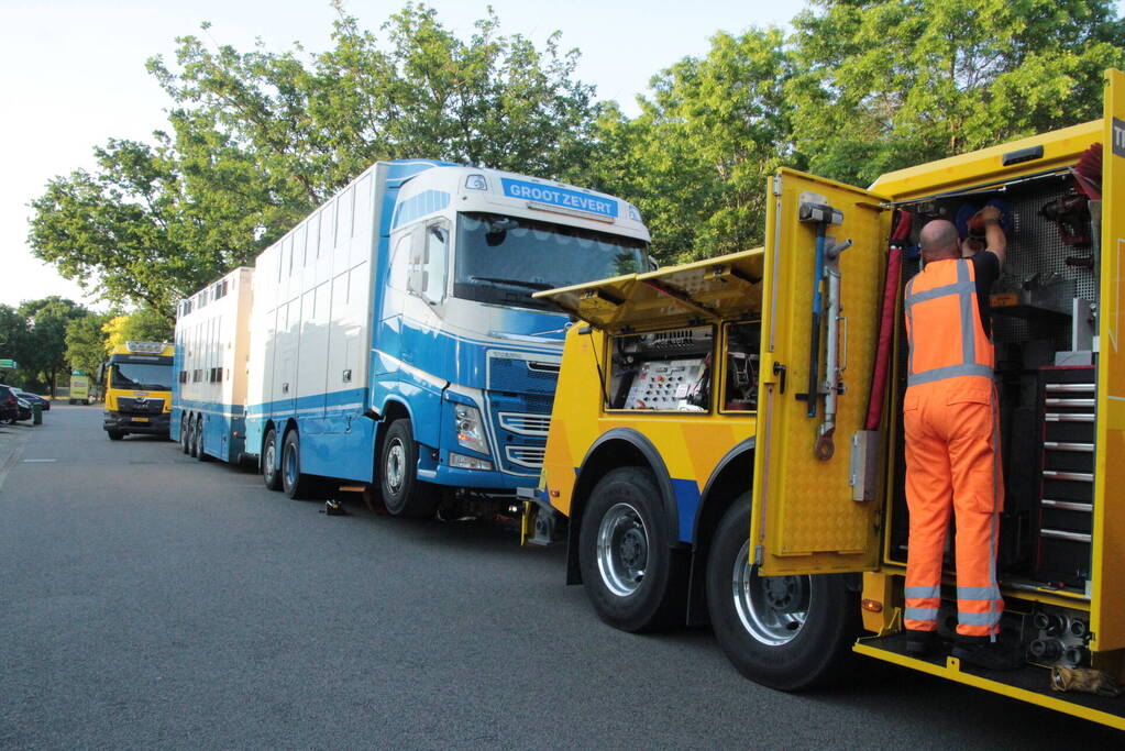 Vrachtwagen met koeien defect op snelweg