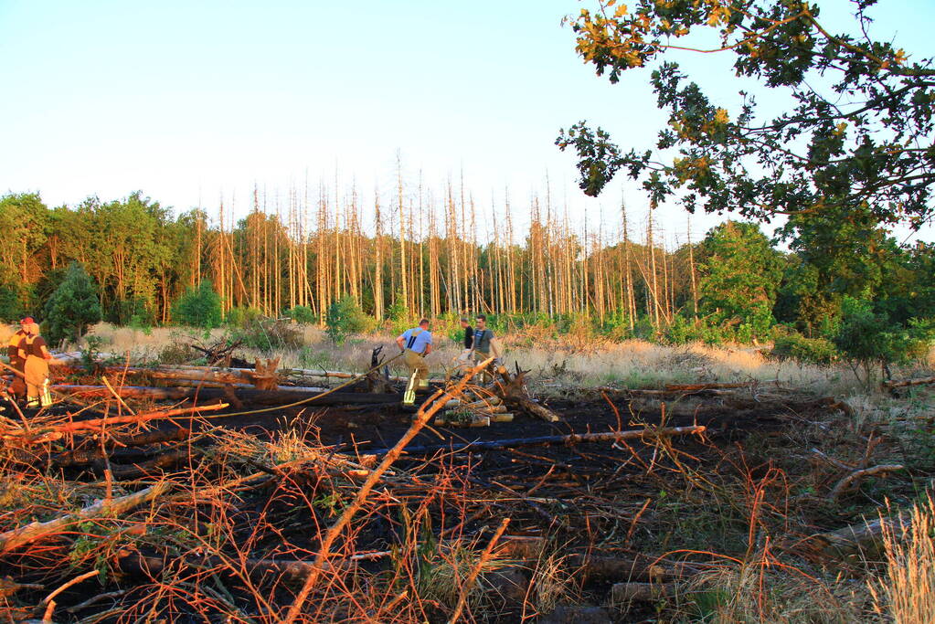 Natuurbrand laait weer op