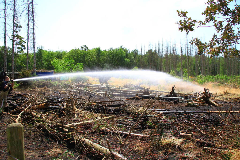 Nacontrole in bos na brand