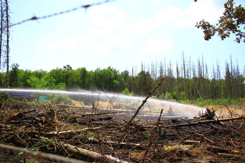 Nacontrole in bos na brand