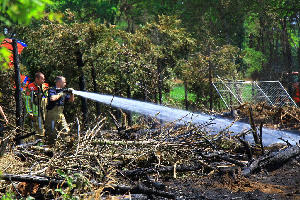 Nacontrole in bos na brand