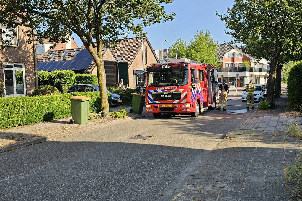 Brandende coniferenhaag snel geblust