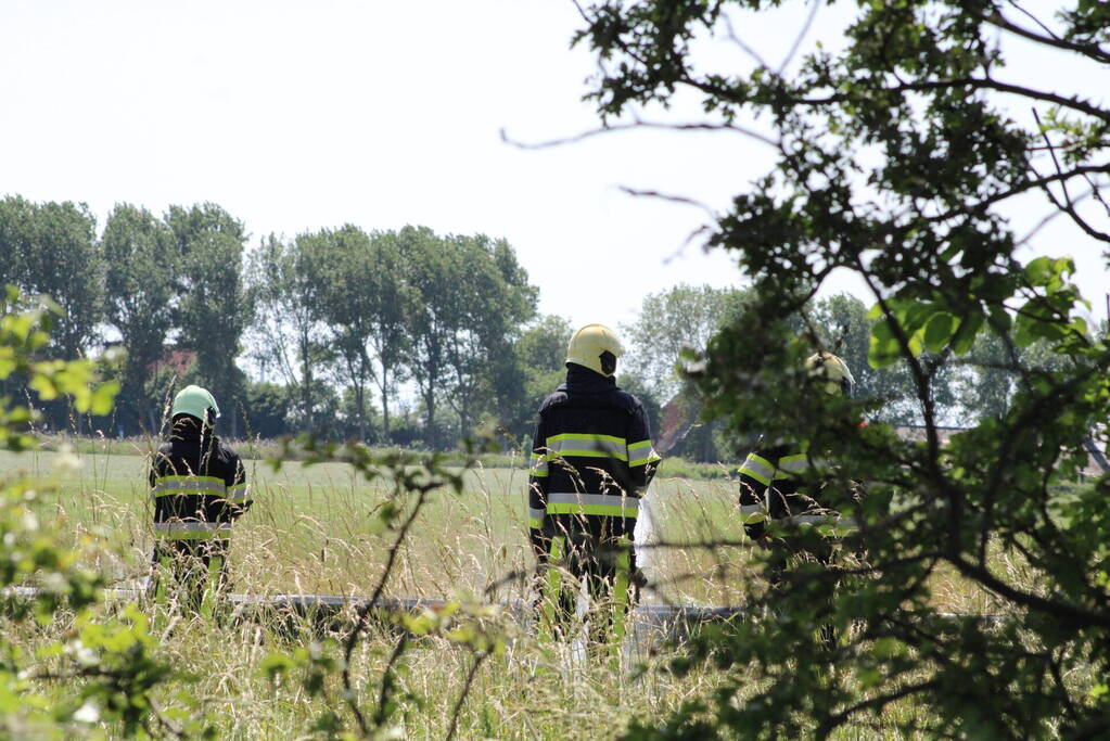 File door brand in berm