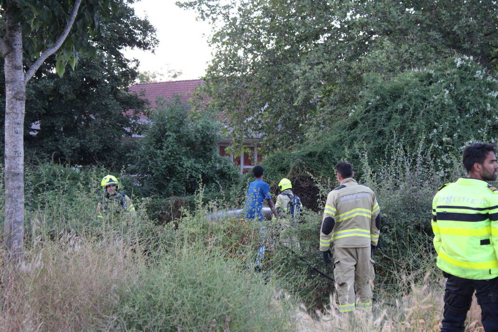 Brandende bosschages geblust