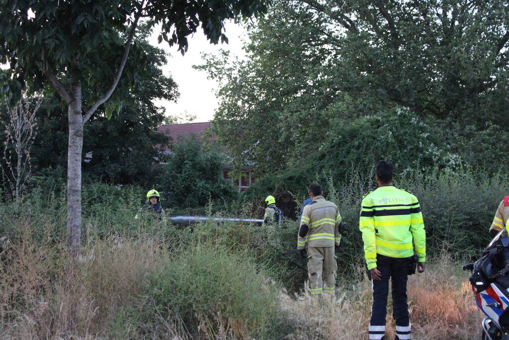 Brandende bosschages geblust