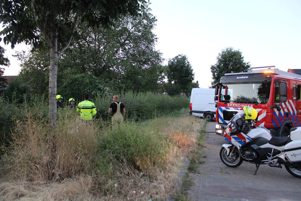 Brandende bosschages geblust