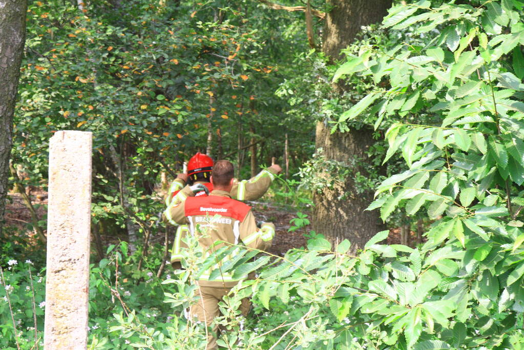 Treinverkeer stilgelegd vanwege natuurbrand